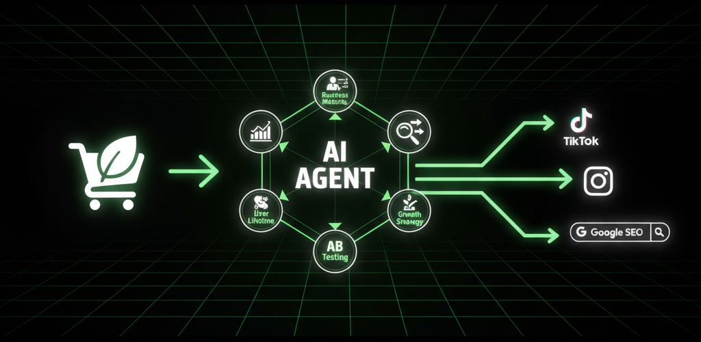 Shopify Growth Hacker Workflow